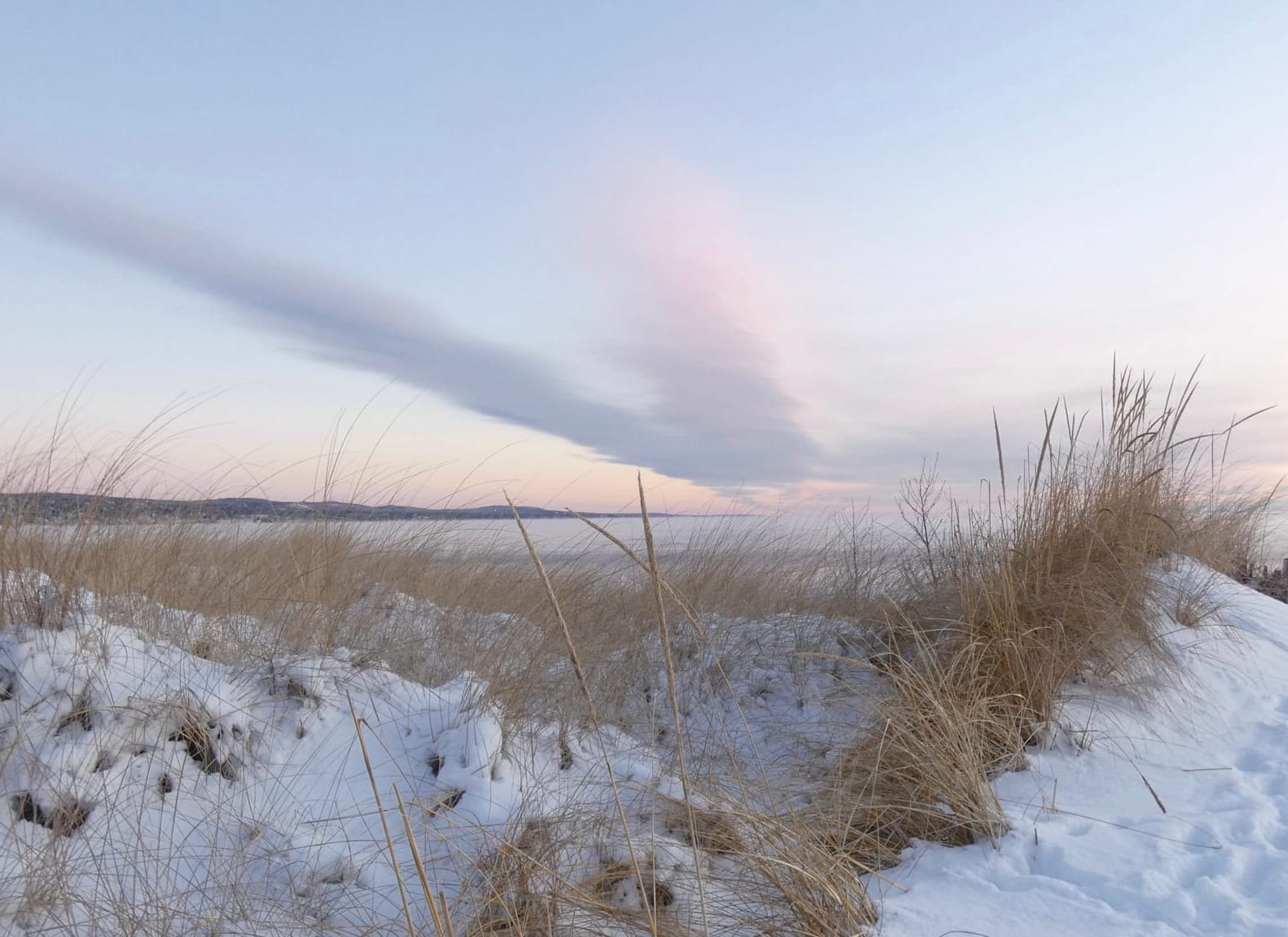 Zazen: The Dynamic Way of Vine of Obstacles Zen: Invitation for February 2 Practice Session